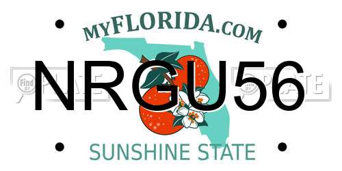 NRGU56 Florida License Plate