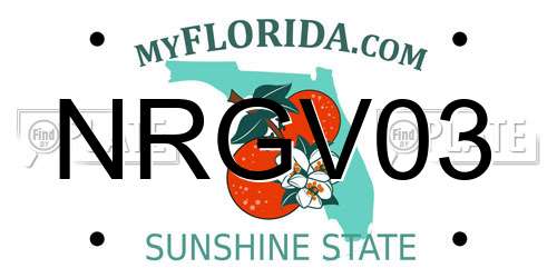 NRGV03 Florida License Plate