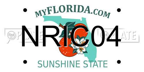 NRIC04 Florida License Plate