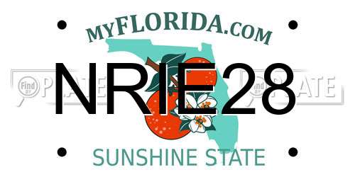 NRIE28 Florida License Plate