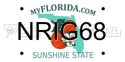 NRIG68 Florida License Plate