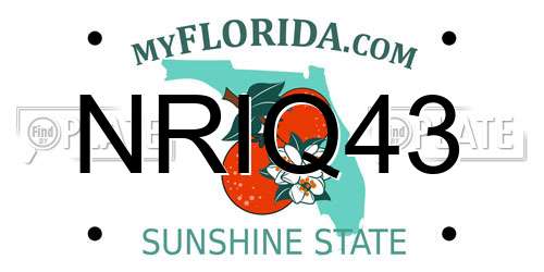 NRIQ43 Florida License Plate