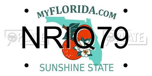 NRIQ79 Florida License Plate