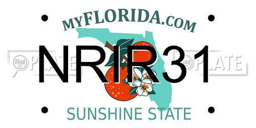 NRIR31 Florida License Plate