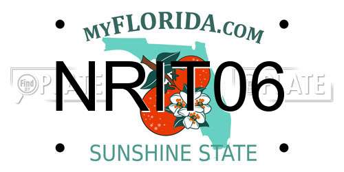 NRIT06 Florida License Plate