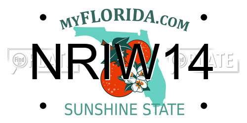 NRIW14 Florida License Plate