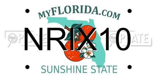 NRIX10 Florida License Plate