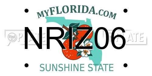 NRIZ06 Florida License Plate
