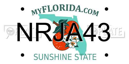 NRJA43 Florida License Plate