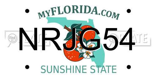 NRJG54 Florida License Plate