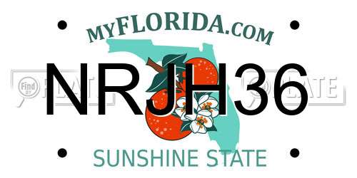 NRJH36 Florida License Plate
