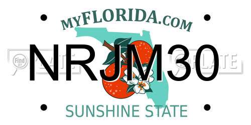 NRJM30 Florida License Plate