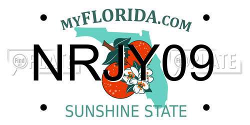 NRJY09 Florida License Plate
