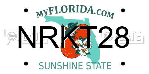 NRKT28 Florida License Plate