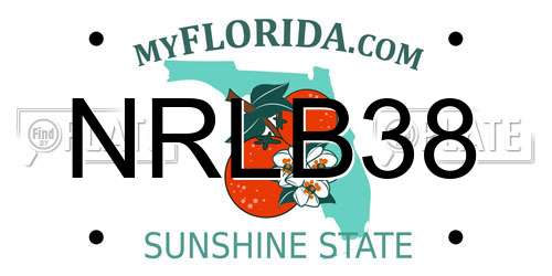 NRLB38 Florida License Plate