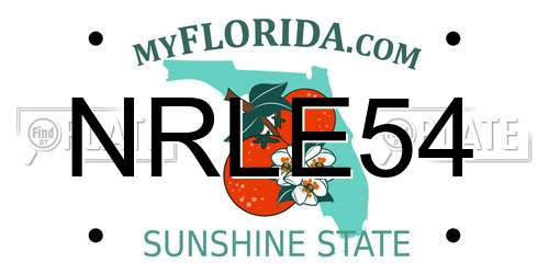 NRLE54 Florida License Plate