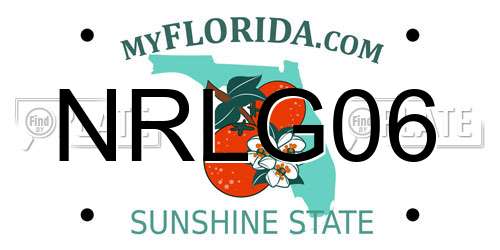 NRLG06 Florida License Plate