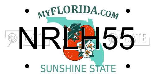 NRLH55 Florida License Plate
