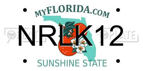 NRLK12 Florida License Plate