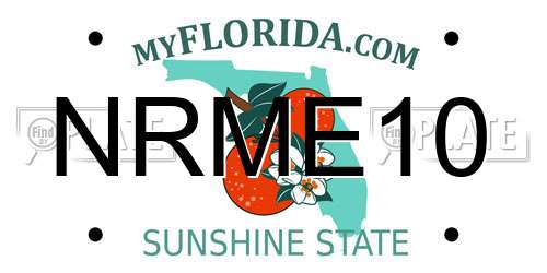 NRME10 Florida License Plate
