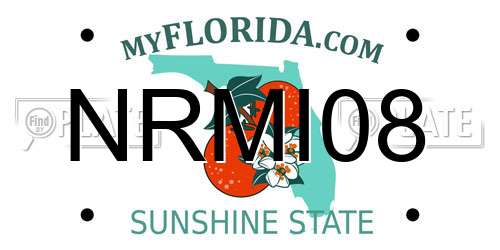 NRMI08 Florida License Plate