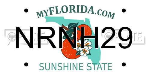 NRNH29 Florida License Plate