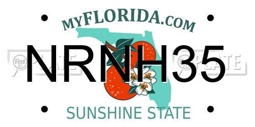 NRNH35 Florida License Plate
