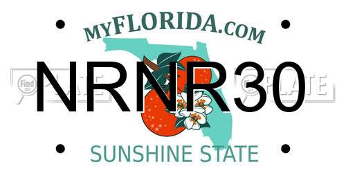 NRNR30 Florida License Plate