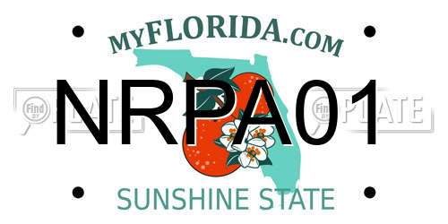 NRPA01 Florida License Plate