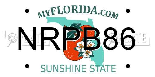 NRPB86 Florida License Plate