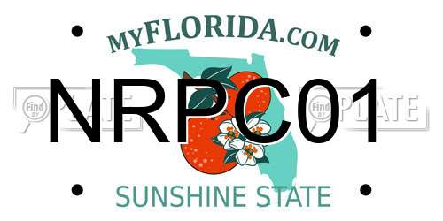NRPC01 Florida License Plate