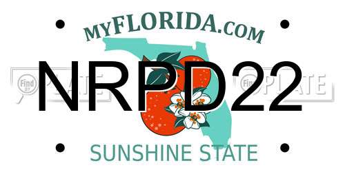 NRPD22 Florida License Plate