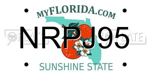 NRPJ95 Florida License Plate