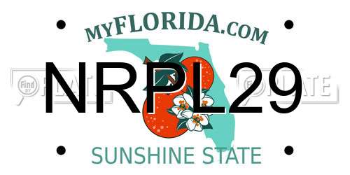 NRPL29 Florida License Plate
