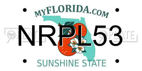NRPL53 Florida License Plate