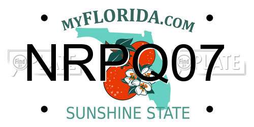 NRPQ07 Florida License Plate
