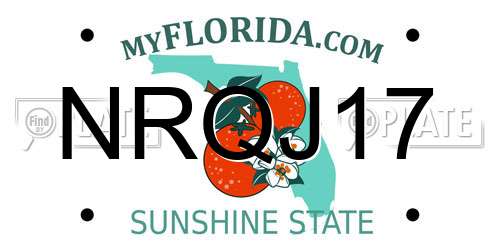 NRQJ17 Florida License Plate