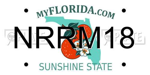 NRRM18 Florida License Plate