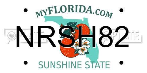 NRSH82 Florida License Plate