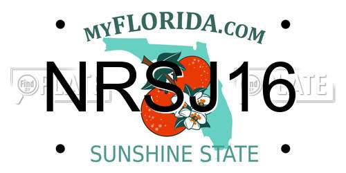 NRSJ16 Florida License Plate