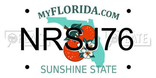 NRSJ76 Florida License Plate