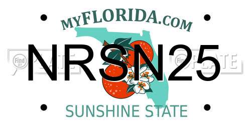 NRSN25 Florida License Plate