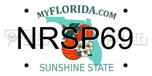 NRSP69 Florida License Plate
