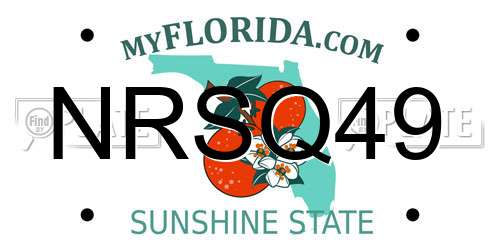 NRSQ49 Florida License Plate