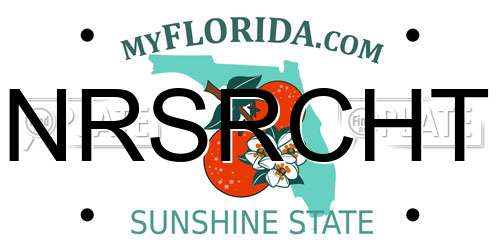 NRSRCHT Florida License Plate