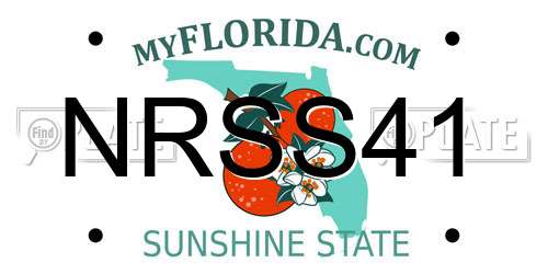 NRSS41 Florida License Plate