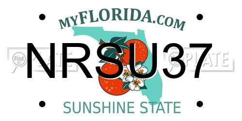 NRSU37 Florida License Plate