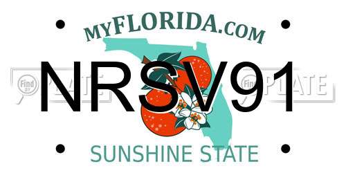 NRSV91 Florida License Plate