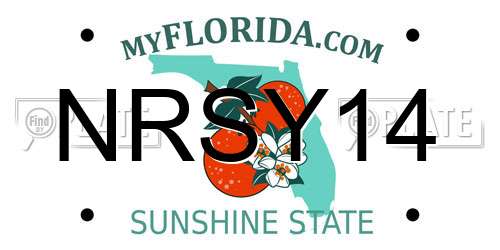 NRSY14 Florida License Plate