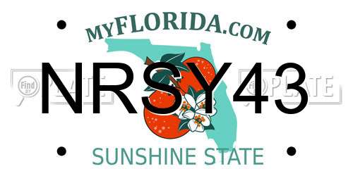 NRSY43 Florida License Plate